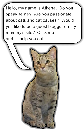 Athena the cat, click to find out about Guest Blogging
